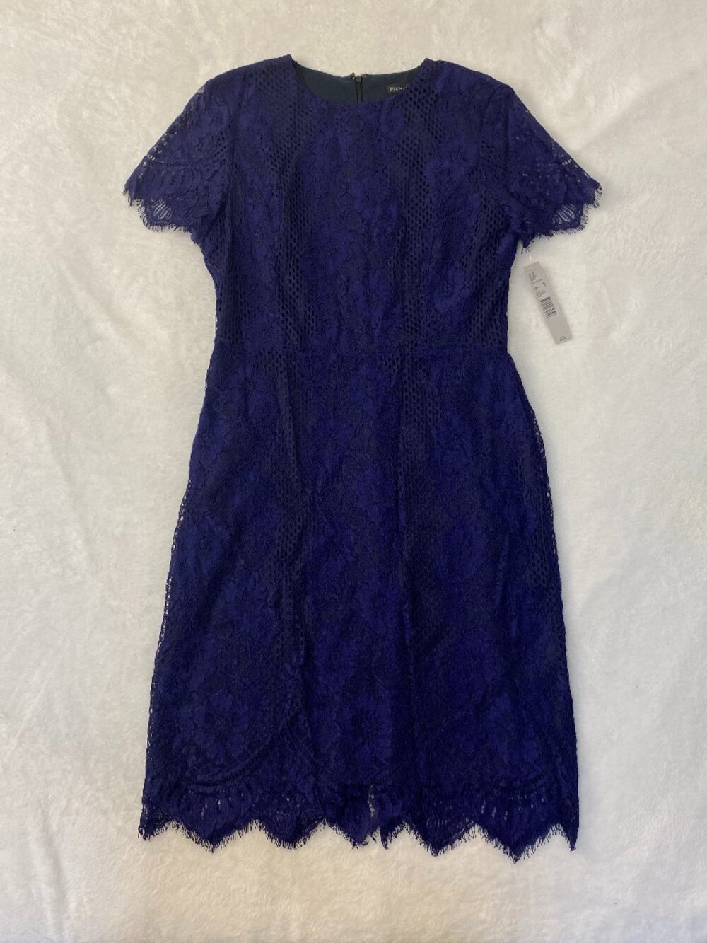 NWT Preston & York Blue Lace Sheath Cocktail Party Dress Size 10